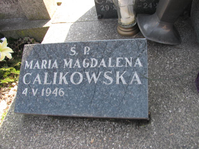 Maria Calikowska 1916 Warszawa Czerniakowski - Grobonet - Wyszukiwarka osób pochowanych