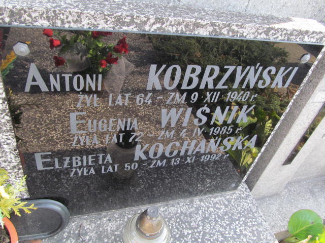 Eugenia Wiśnik Warszawa Czerniakowski - Grobonet - Wyszukiwarka osób pochowanych