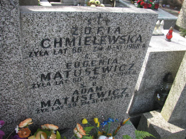 Antonina Strzemieczna Warszawa Czerniakowski - Grobonet - Wyszukiwarka osób pochowanych